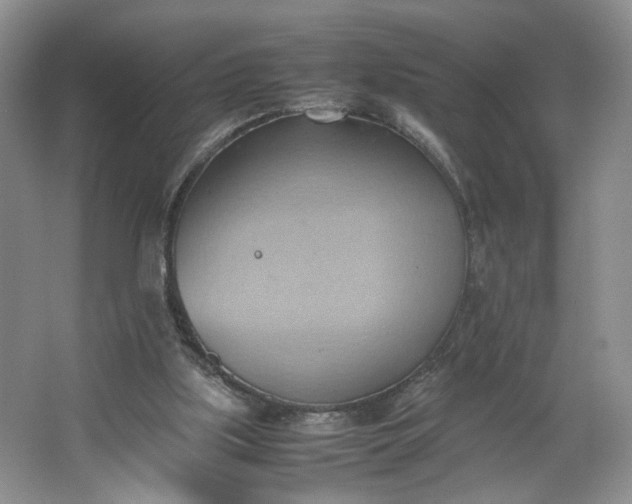 X0000064040059200602101435