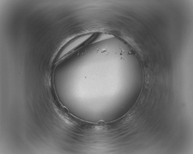 X0000064040060200602101435