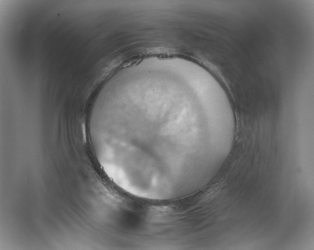 X0000064040061200602101435