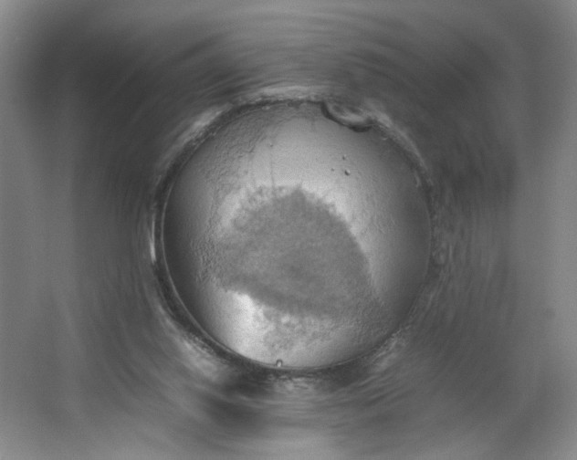 X0000064040062200602101435