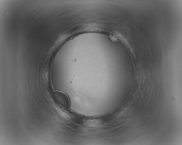 X0000064040063200602101435