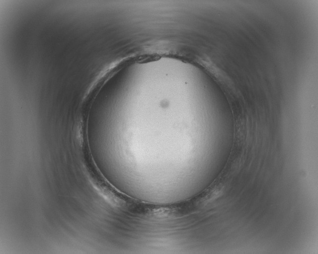 X0000064040064200602101435