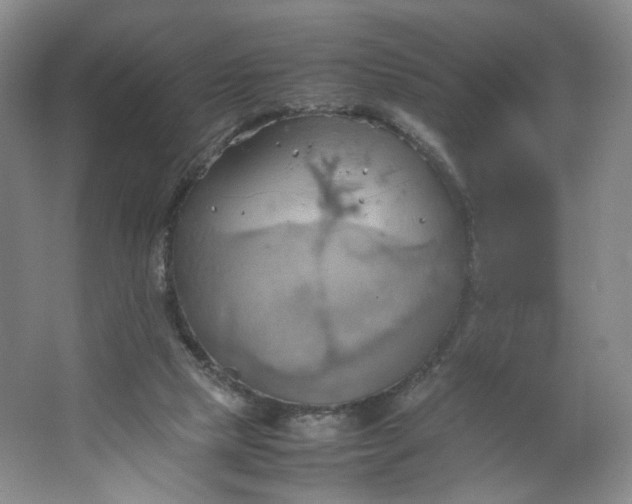 X0000064040065200602101435