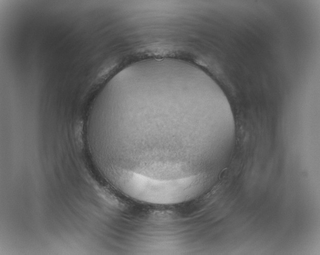 X0000064040066200602101435