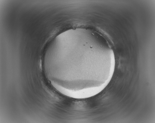 X0000064040067200602101435