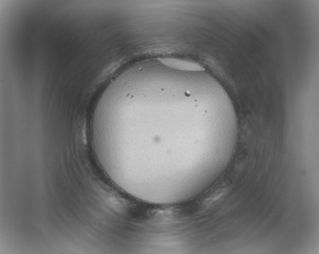 X0000064040068200602101435