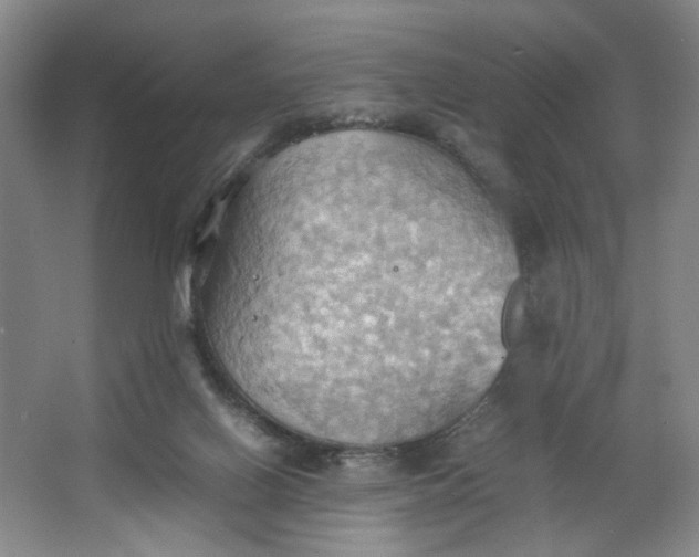 X0000064040070200602101435