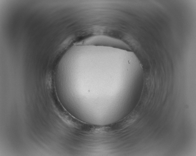 X0000064040072200602101435