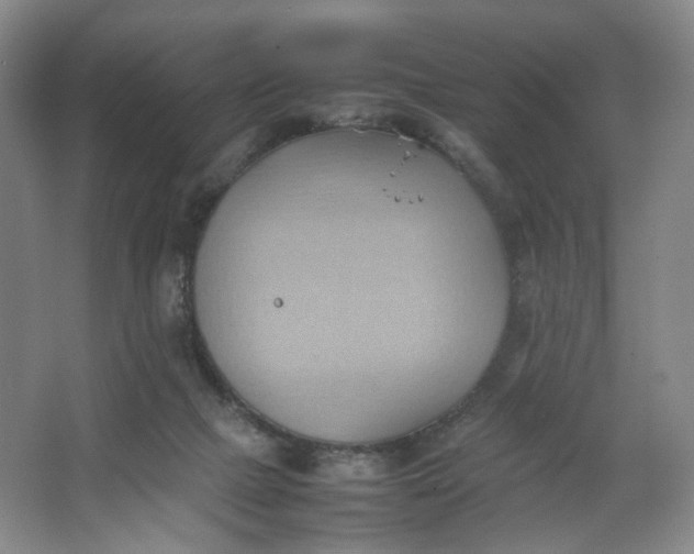 X0000064040073200602101435