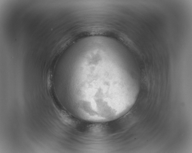 X0000064040074200602101435