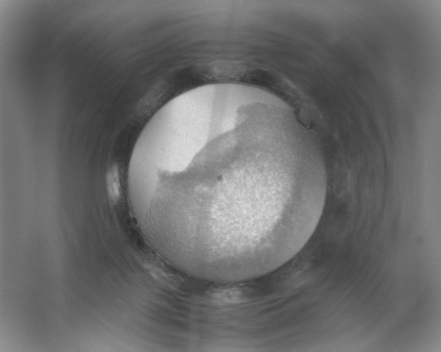 X0000064040075200602101435