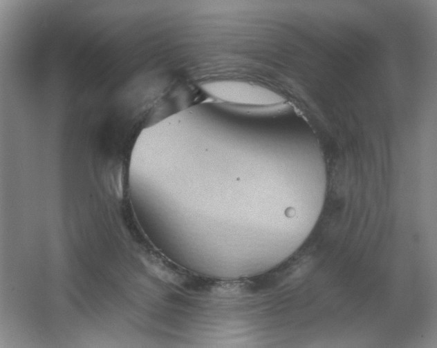 X0000064040076200602101435