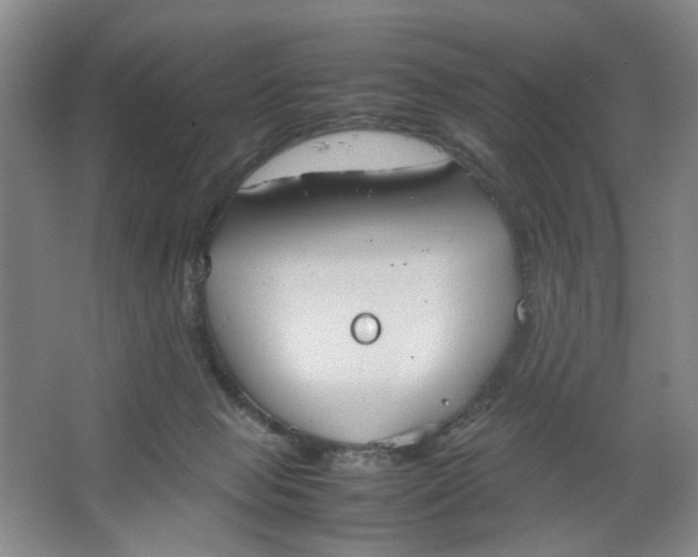 X0000064040077200602101435