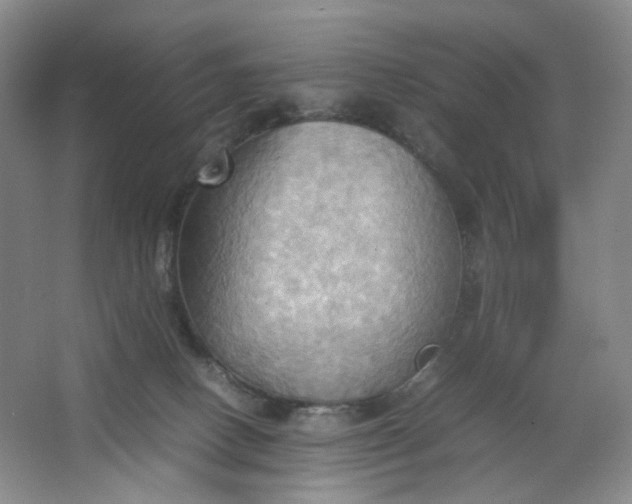 X0000064040082200602101436