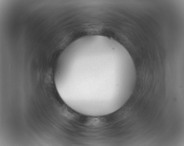 X0000064040083200602101436