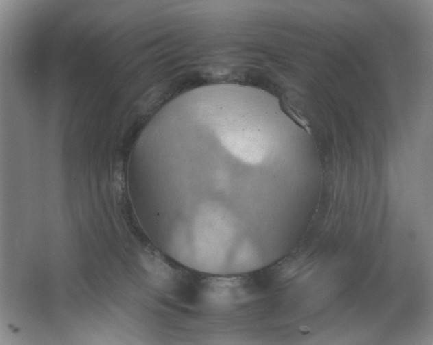 X0000064040085200602101436