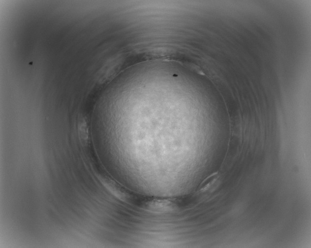 X0000064040086200602101436