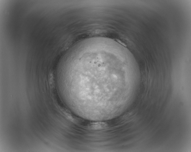 X0000064040087200602101436