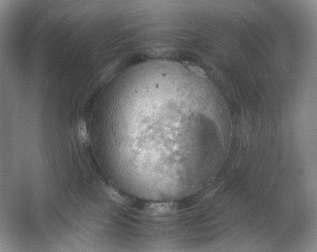 X0000064040089200602101436