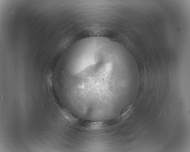 X0000064040090200602101436