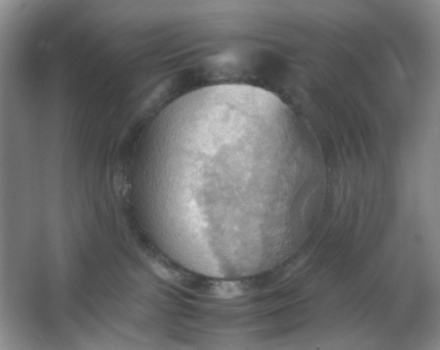 X0000064040091200602101436