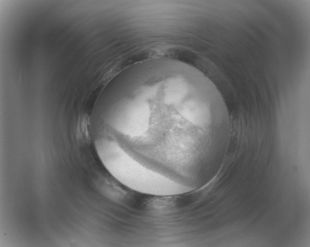 X0000064040094200602101436