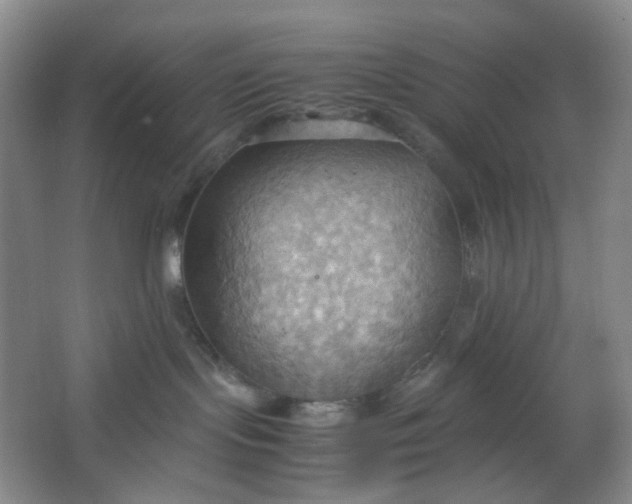 X0000064040095200602101436