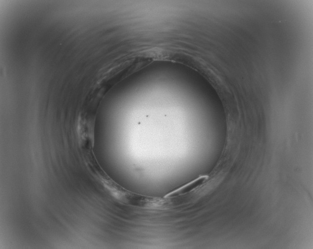 X0000064040096200602101436