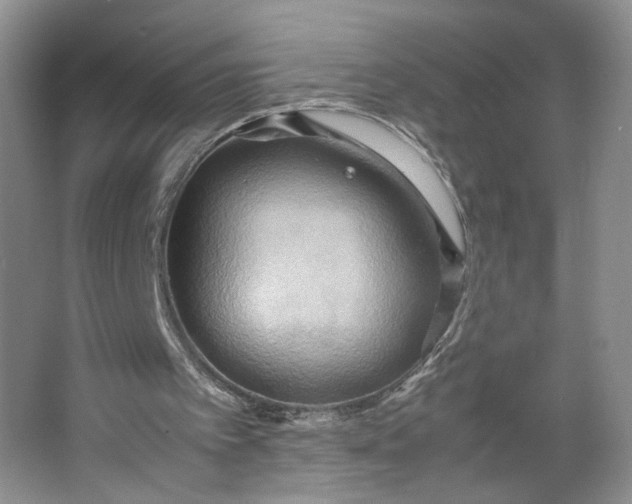 X0000064040097200602101435