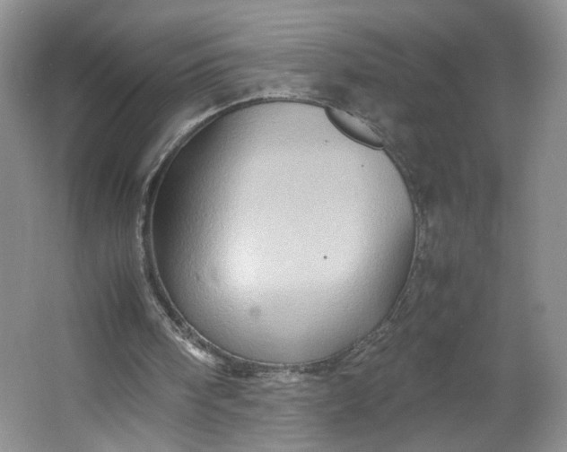 X0000064040098200602101435