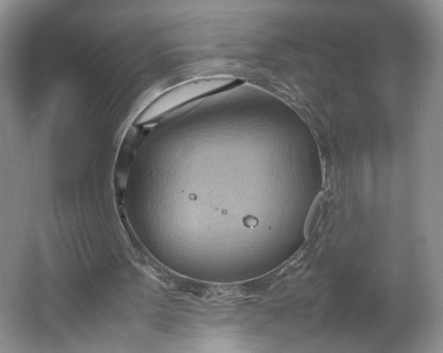 X0000064040099200602101435