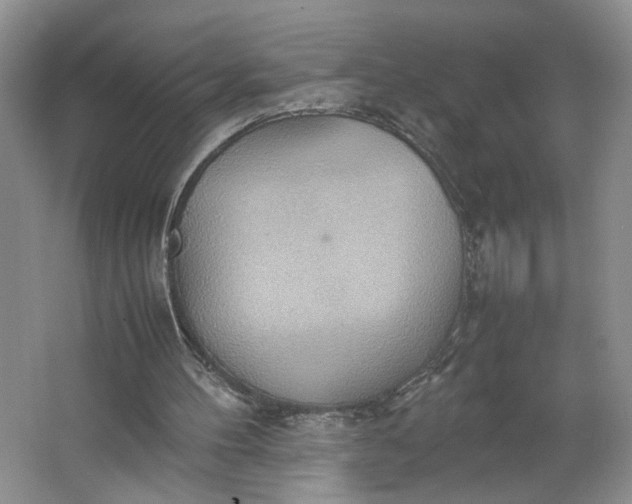 X0000064040100200602101435