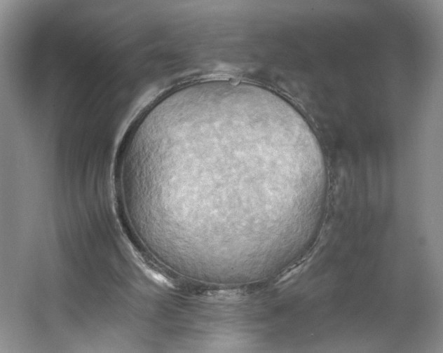 X0000064040102200602101435