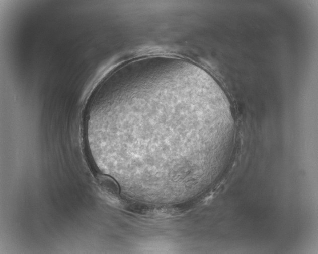 X0000064040103200602101435