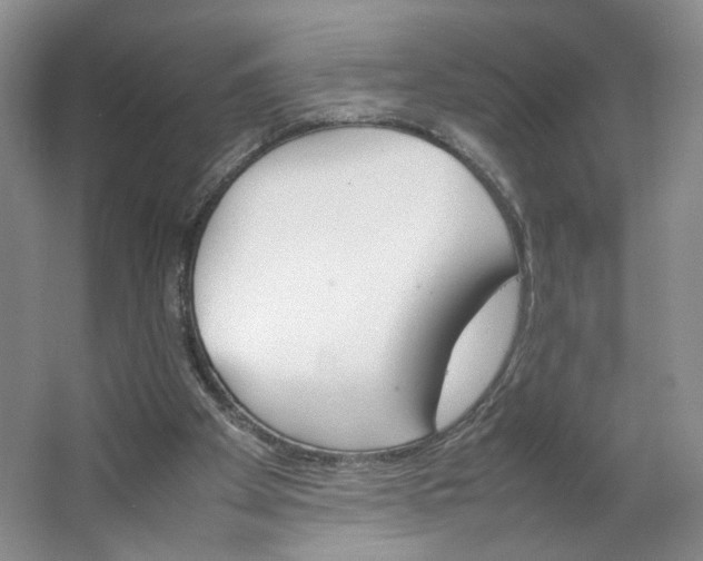 X0000064040105200602101435