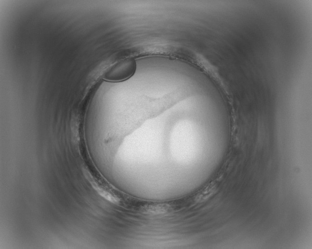 X0000064040106200602101435