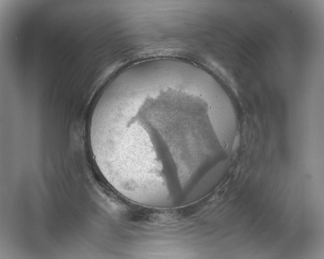 X0000064040107200602101435