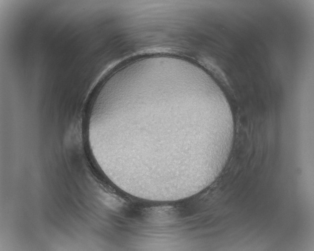 X0000064040108200602101435