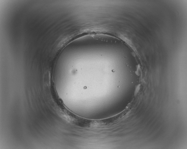 X0000064040109200602101435