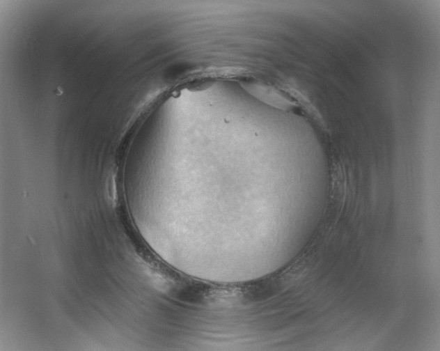 X0000064040110200602101435