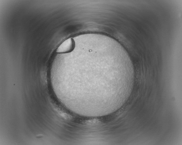 X0000064040112200602101435