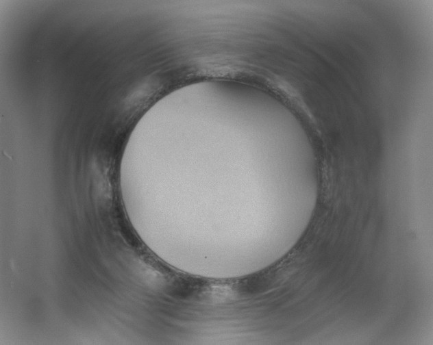 X0000064040114200602101435