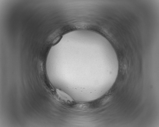 X0000064040117200602101435