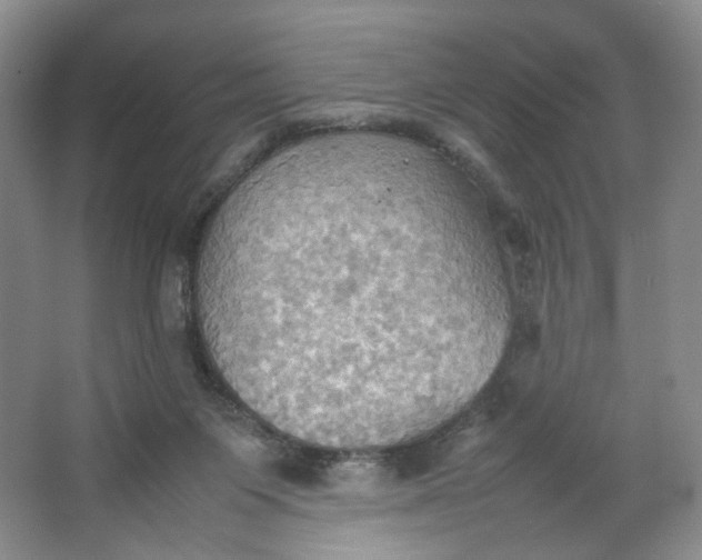 X0000064040119200602101435