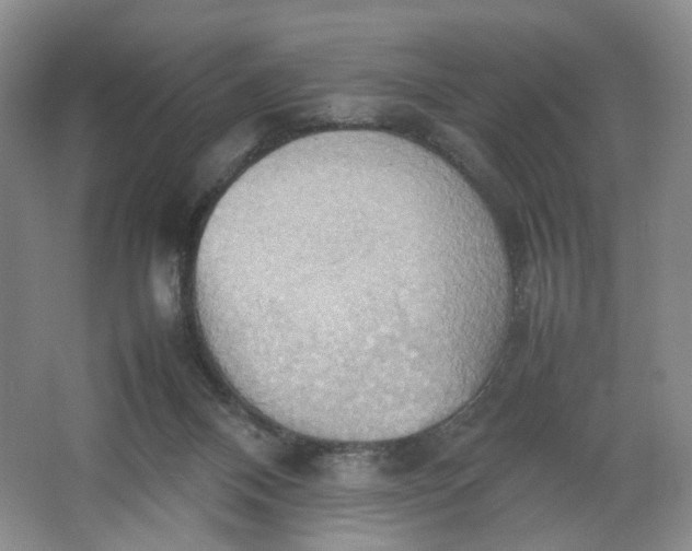 X0000064040120200602101435