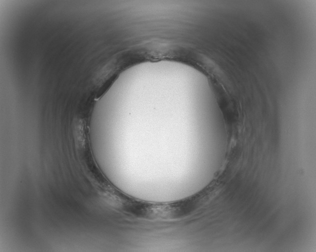 X0000064040121200602101435