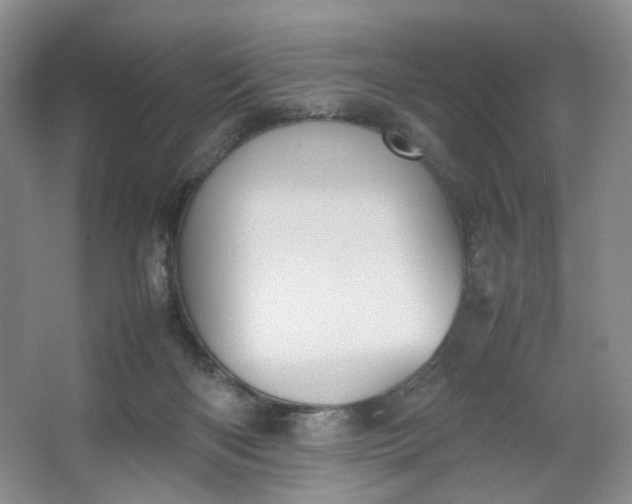 X0000064040122200602101435