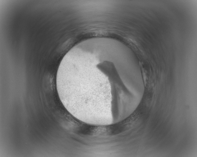 X0000064040123200602101434