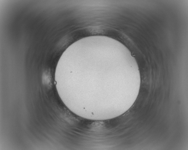 X0000064040124200602101434