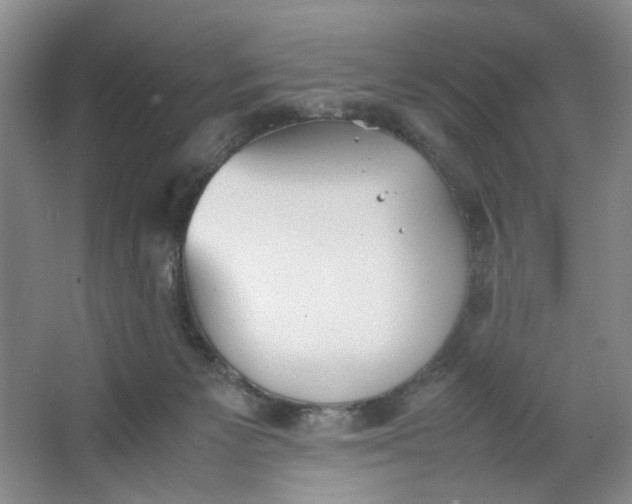 X0000064040125200602101434